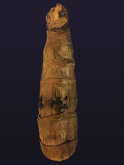 Cat mummy dianna