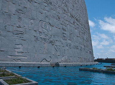 image for The New Library of Alexandria